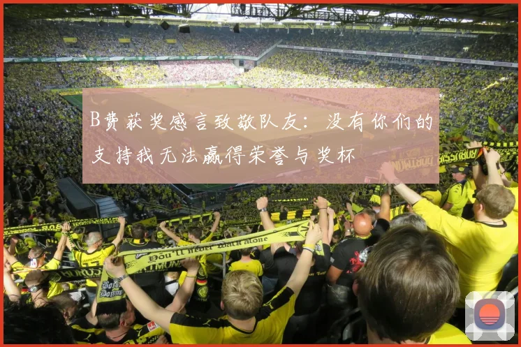 B费获奖感言致敬队友：没有你们的支持我无法赢得荣誉与奖杯