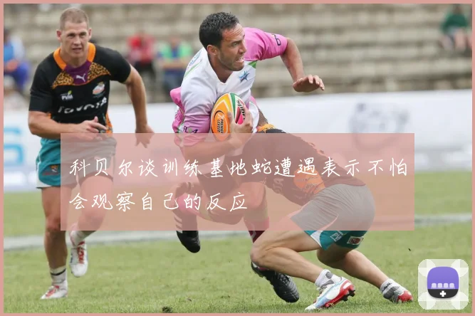 科贝尔谈训练基地蛇遭遇表示不怕会观察自己的反应