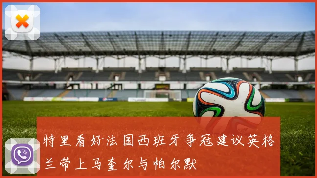 特里看好法国西班牙争冠建议英格兰带上马奎尔与帕尔默