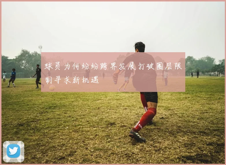 球员为何纷纷跨界发展打破圈层限制寻求新机遇